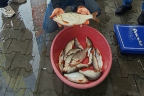 Sapanca Gölü’nde kızılkanat heyecanı: Amatör balıkçılar kıyasıya yarıştı