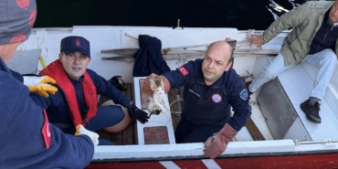 Erdek’te denize düşen yavru kedi kurtarıldı