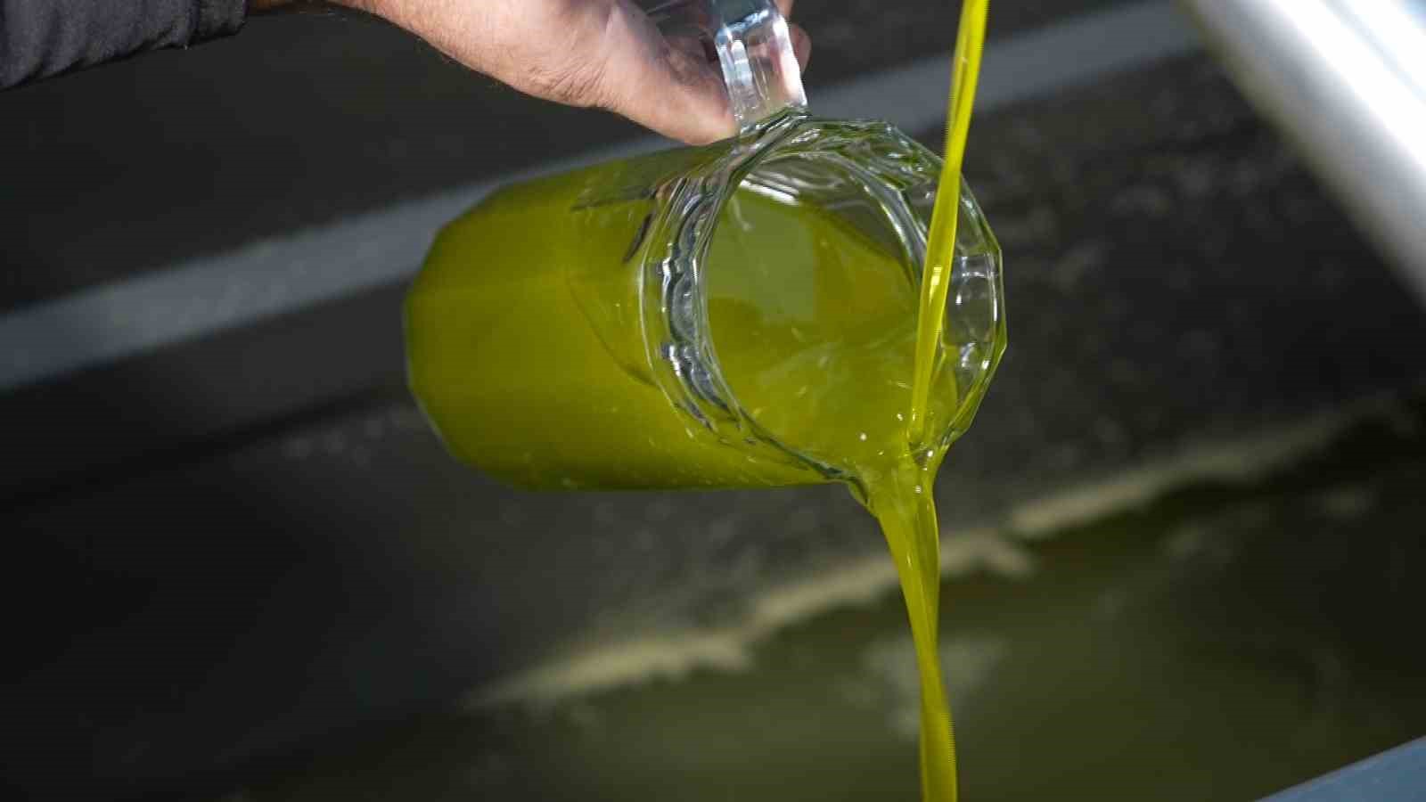 Türkiye’de satılan zeytinyağının yüzde 65’i ‘Ayvalık zeytinyağı’ adıyla piyasada