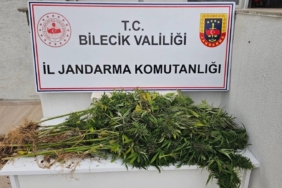Bilecik’te kenevir operasyonu