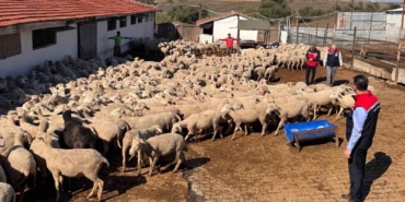 Tarım İl Müdürü Aksoy üreticinin sorunlarını yerinde dinledi