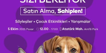 Ataşehir’de Dünya Hayvanları Koruma Günü etkinliği: "Satın Alma, Sahiplen"