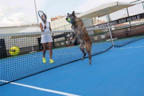 Milli Tenisçi Büyükakçay, patili dostu ile tenis oynadı
