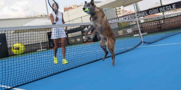 Milli Tenisçi Büyükakçay, patili dostu ile tenis oynadı