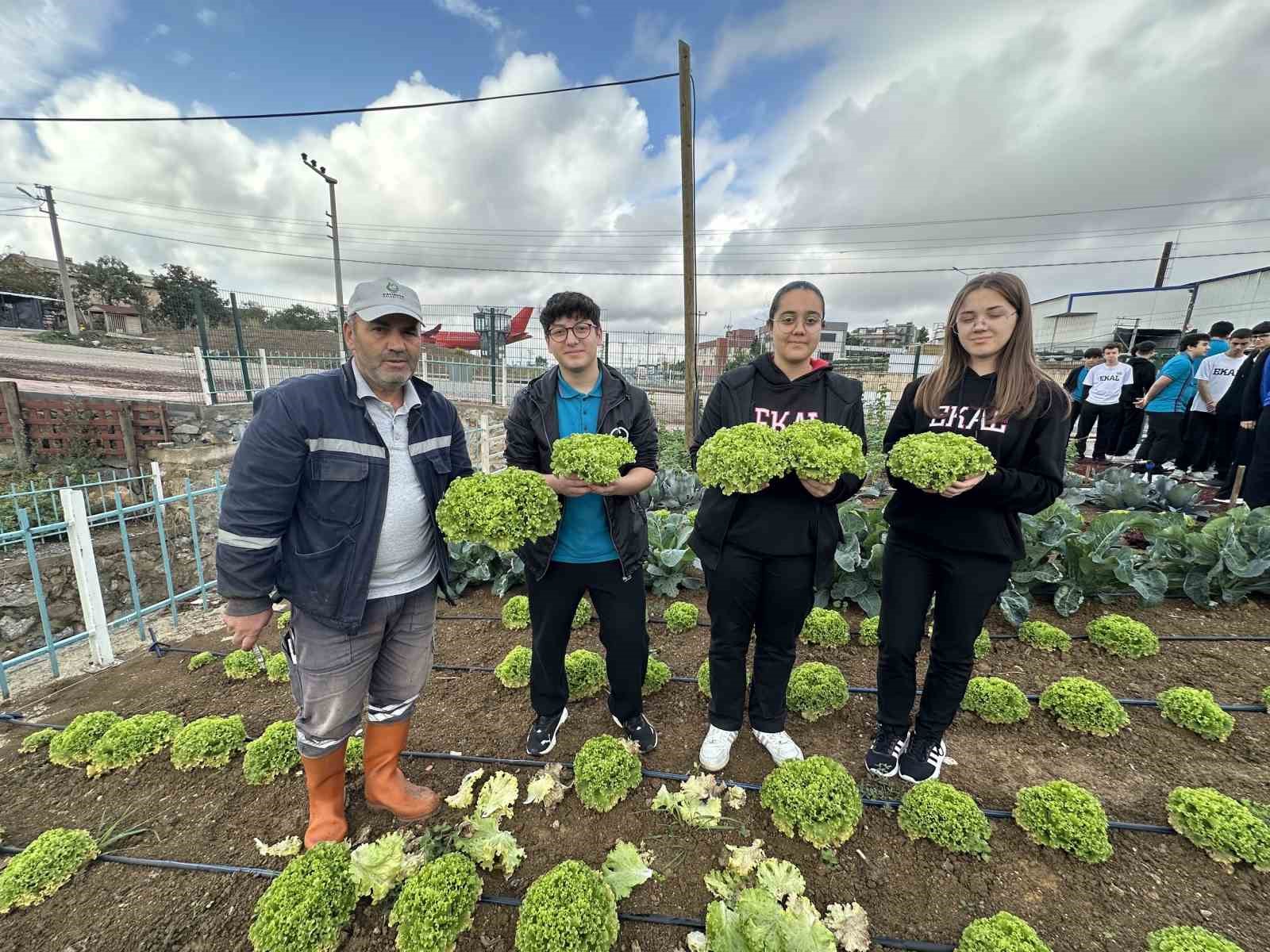 Öğrenciler, "Bahçem Çayırova"da ilk hasadı yaptı