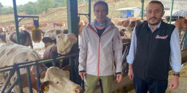 Yapay zeka süt hayvancılığında çığır açtı