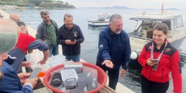Marmara’da 400 ıstakoz yavrusu yapay resiflere bırakıldı