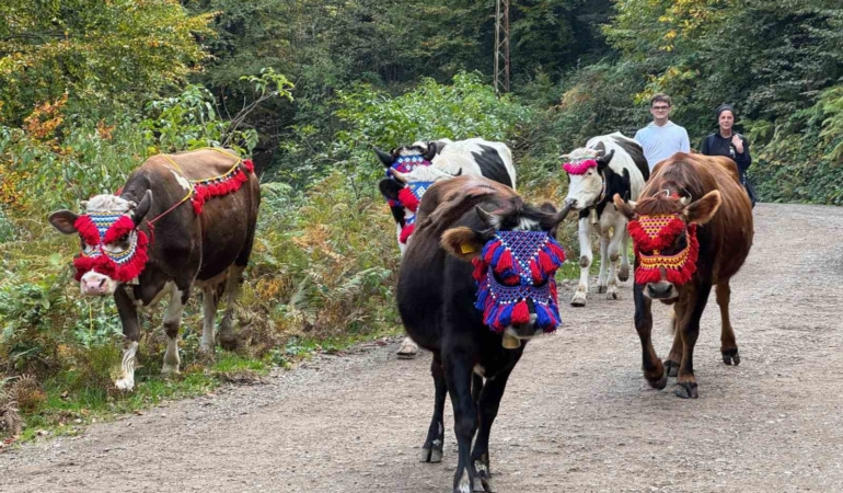Asırlık gelenek sürdürülüyor: Keremali Yaylası’ndan renkli dönüş şöleni