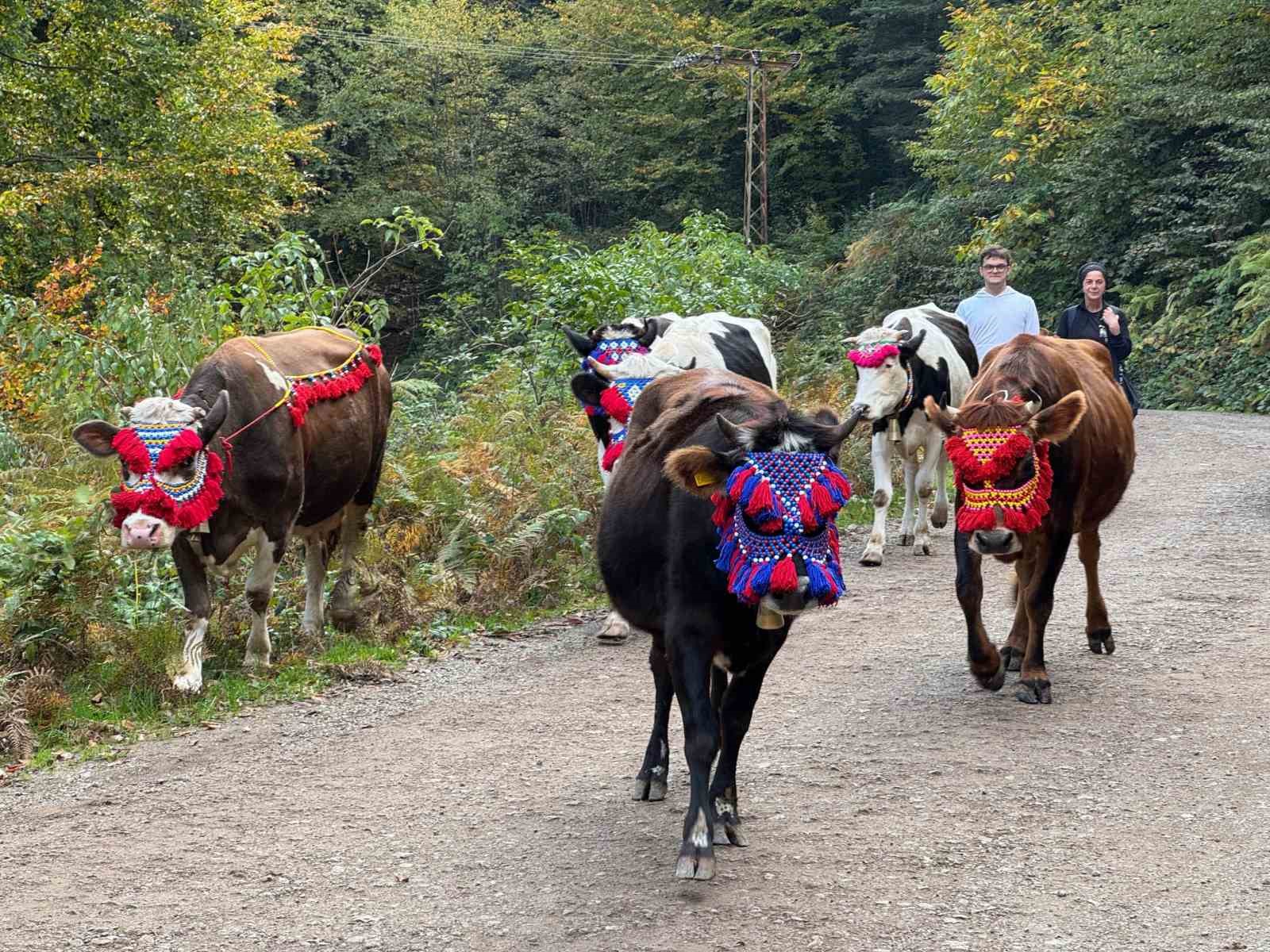 Asırlık gelenek sürdürülüyor: Keremali Yaylası’ndan renkli dönüş şöleni