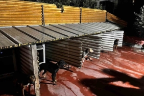 Tepkiye neden olan görüntüler sonrası Emniyet harekete geçti