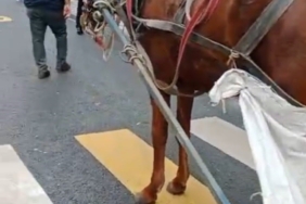 At arabasına 993 lira hatalı park cezası