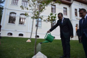 Bakan Kacır, 2023 yılında diktiği çınar ağacını suladı