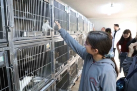 Gaziosmanpaşa’da Dünya Hayvanları Koruma Günü’ne özel etkinlik