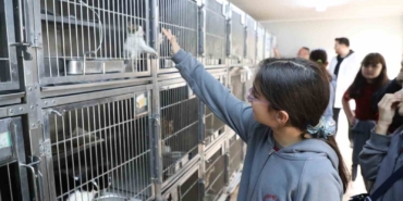 Gaziosmanpaşa’da Dünya Hayvanları Koruma Günü’ne özel etkinlik