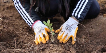 Uludağ Elektrik’ten doğa dostu çözüm