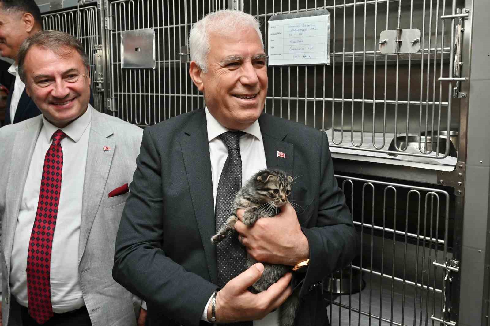 Büyükşehir’den can dostlara şefkat eli