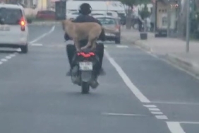 Çanakkale’de motor artçısı görenleri hem şaşırttı hem neşelendirdi