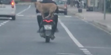 Çanakkale’de motor artçısı görenleri hem şaşırttı hem neşelendirdi