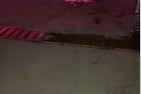 Akaryakıt istasyonu girişinde ilginç kaza: Yerinden çıkan mazgal, otomobilin motor kısmına çarptı