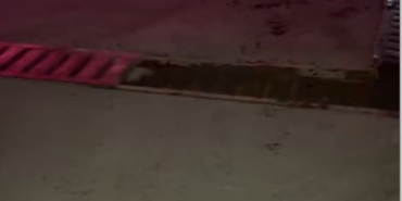 Akaryakıt istasyonu girişinde ilginç kaza: Yerinden çıkan mazgal, otomobilin motor kısmına çarptı