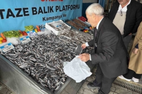 Denizlerde balık bolluğu: Hamsinin fiyatı 89 liraya düştü