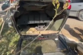 Takla atan otomobil ters durdu