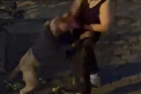 Bahçelievler’de pitbull cinsi köpek sahibine saldırdı: Dehşet anları kamerada