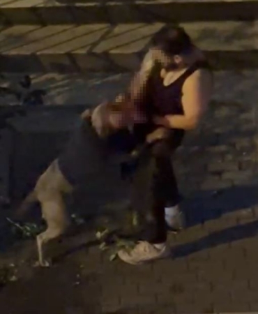 Bahçelievler’de pitbull cinsi köpek sahibine saldırdı: Dehşet anları kamerada