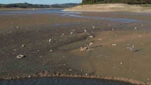 İstanbul’da barajlar alarm veriyor: Son 10 yılın en düşük su seviyesi