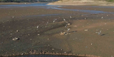 İstanbul’da barajlar alarm veriyor: Son 10 yılın en düşük su seviyesi