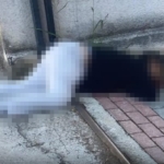 Yalova’da eşini sokak ortasında öldürdü