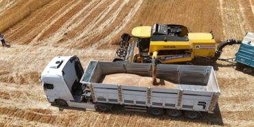 İthalat açıklaması bile arpanın ateşini düşürmedi