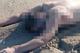 Sakarya’da sahilde çıplak erkek cesedi bulundu