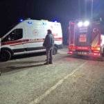 Balıkesir’de yol kenarına uçan otomobilin sürücüsü yaralandı