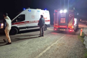 Balıkesir’de yol kenarına uçan otomobilin sürücüsü yaralandı