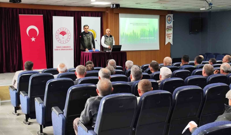 Bozüyük ormanları sertifikalandırılıyor