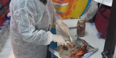 Bilecik’te askeri birliklerde düzenli gıda kontrolü