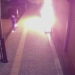 Bursa merkezli dev operasyon: Çirkinler ve Daltonlar çökertildi, 16 kişi tutuklandı