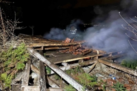 Tarlada çıkan yangın 2 barakayı küle çevirdi