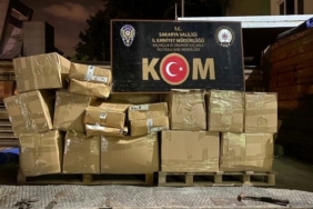 Sakarya’da ele geçirildi: Piyasa değeri 2 milyonun üzerinde