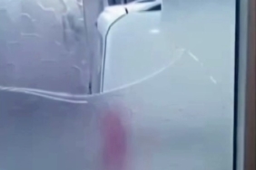 Yaşlı çift komşularının kabusu oldu