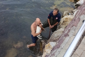 Deniz kenarında sıkışan köpek için kurtarma operasyonu