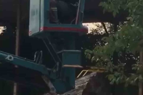 Bursa’da vinç üstünde "arı alarmı"