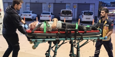 Ceviz ağacından düşen adam ağır yaralandı