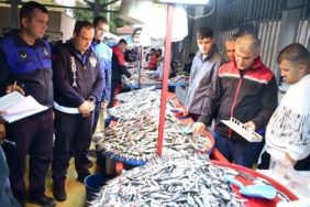 Yenişehir’de balık pazarı’na sıkı denetim