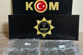 Kırklareli’nde 1 kilo 170 gram skunk ele geçirildi