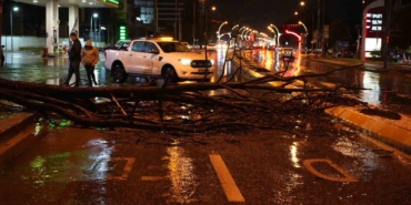 Edirne’de sağanak yağış ve rüzgar, ağacı devirdi
