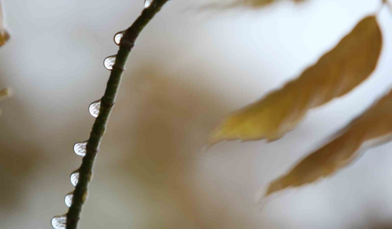 Bursa’da 2 günlük yağışlar ekim ayını kurtardı