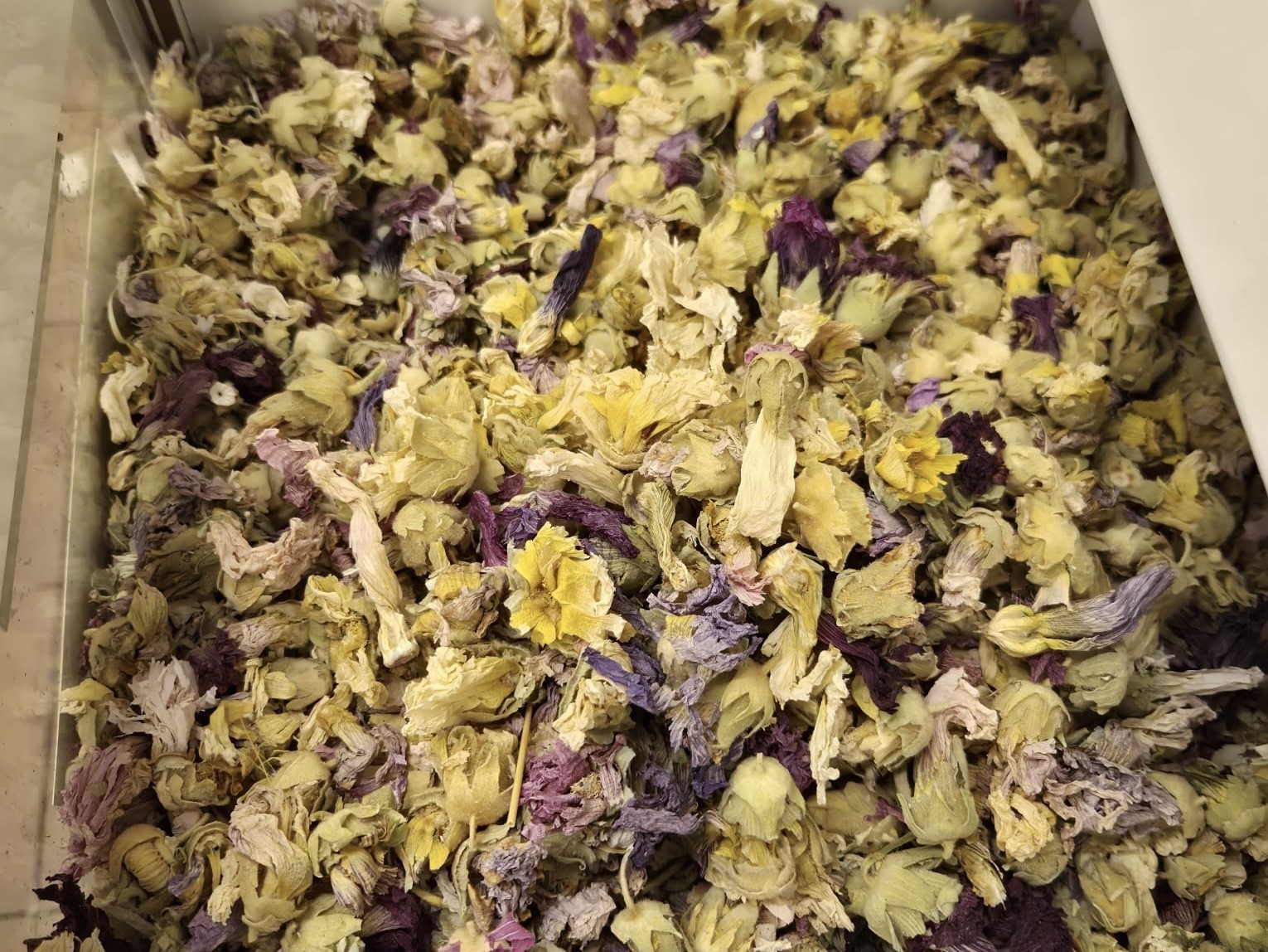 Kışın favorisi: Zencefil, propolisli macun, kara mürver ve karadut pekmezleri