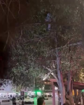 Topunu almak için çıktığı ağaçtan inemeyen çocuğun yardımına itfaiye yetişti